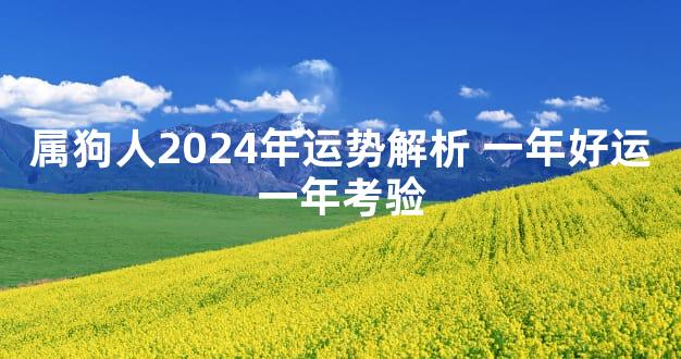 属狗人2024年运势解析 一年好运一年考验